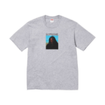 Supreme SITH Tee Heather Grey 5 sneakersy